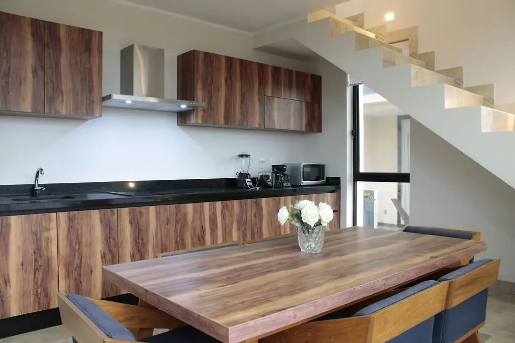 Apartment Spacious 3 Bed Penthouse With Rooftop And Gym Tulum Mexico